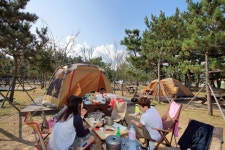 망상오토캠핑리조트 제2오토캠핑장