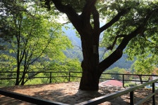 매봉힐링캠프