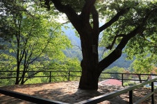 매봉힐링캠프