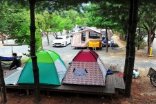 핫도그342애견글램핑카라반 주식회사 고캠핑