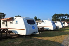 몽산포 홀리데이파크