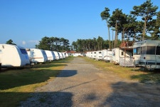 몽산포 홀리데이파크