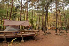 무릉계곡 힐링캠프장