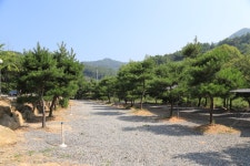 무릉도원 캠핑장