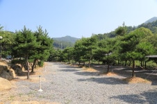 무릉도원 캠핑장 고캠핑