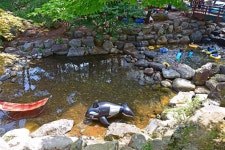 무주홀리데이파크