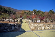 문경새재국민여가캠핑장
