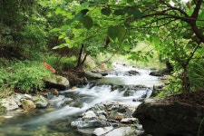 문경히든벨리오토캠핑장 고캠핑