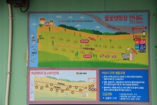 물꽃 캠핑장 고캠핑
