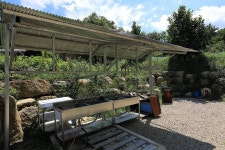 물한계곡소나무펜션 고캠핑