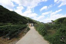 물한계곡소나무펜션 고캠핑