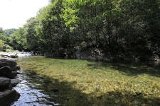 물한계곡소나무펜션 고캠핑
