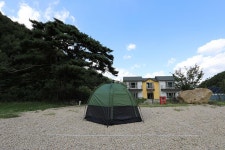 물한계곡소나무펜션 고캠핑