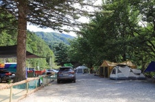 미산분교 캠핑장 고캠핑