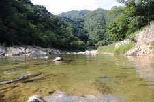 미산분교 캠핑장 고캠핑