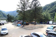 미산분교 캠핑장 고캠핑