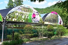 민들레동산 캠핑장