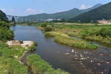 밀양사계절야영장 고캠핑