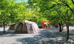 밀양스쿨오토캠핑장 고캠핑