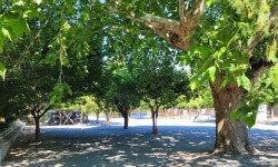 밀양스쿨오토캠핑장 고캠핑