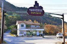박달재자연휴양림야영장