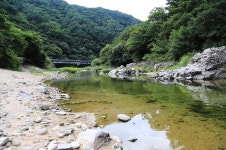 반디하우스캠핑장