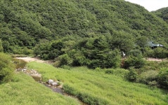 반디하우스캠핑장