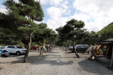 반딧불이 캠핑장 고캠핑