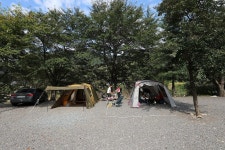 반딧불이 캠핑장 고캠핑