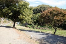 밤골캠핑장 고캠핑