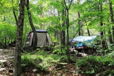 방태산 자연휴양림 캠핑장 고캠핑