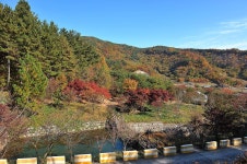 백운산 자연휴양림 자동차야영장 고캠핑