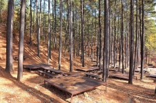 백운산 자연휴양림 자동차야영장 고캠핑