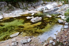 백운오양골캠핑장