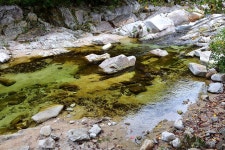 백운오양골캠핑장 고캠핑