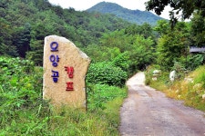 백운오양골캠핑장 고캠핑