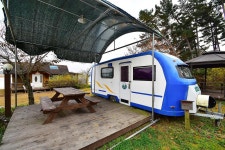 버디버디 고캠핑