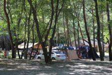 갈천 오토캠핑장