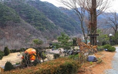 벳소캠프 고캠핑