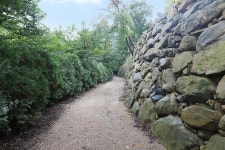 감이야기 캠핑장 고캠핑