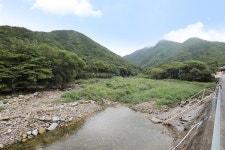 감이야기 캠핑장 고캠핑