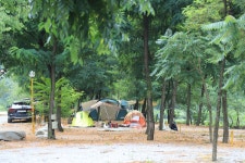 별마로빌리지캠핑장