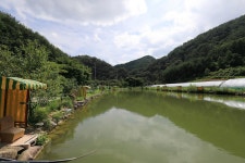 산골펜션캠핑장 고캠핑