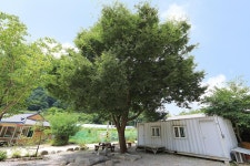 산골펜션캠핑장 고캠핑