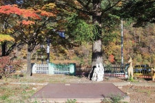 봉화열목어마을