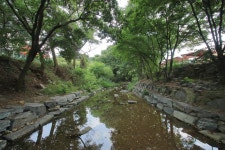 강당골캠핑파크 고캠핑