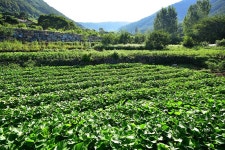 부재산방 캠핑장