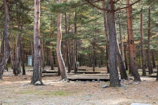 강릉 노추산 힐링캠프 고캠핑