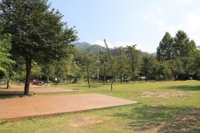 비발디 캠핑파크 고캠핑