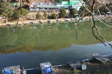 비학농원캠핑장 고캠핑